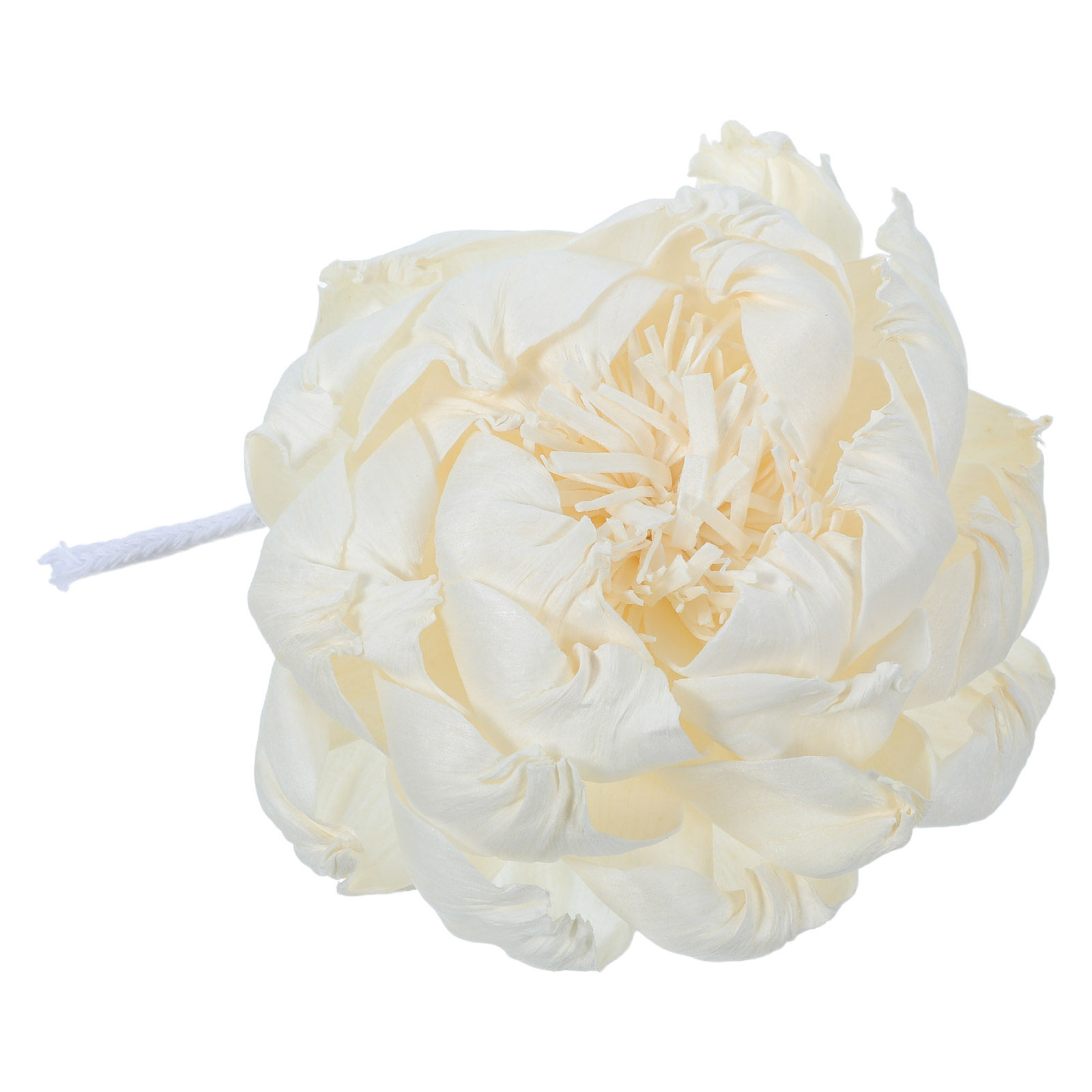 Dyfuzor zapachowy z głową piwo – Home Fragrance Us recenzja i cena