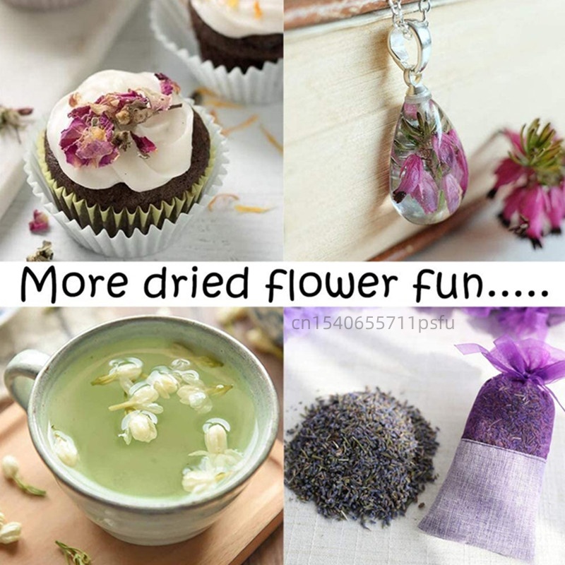 Wysokiej jakości naturalne sus – Potpourri Dried Flower recenzja i cena